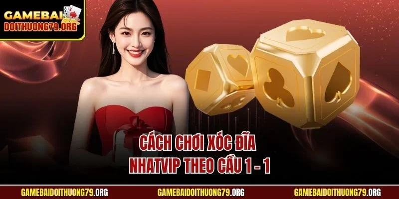 Cách Chơi Xóc Đĩa Nhatvip | Hướng Dẫn Từ Chuyên Gia Từ A - Z 4 Cách chơi xóc đĩa Nhatvip theo cầu 1 - 1